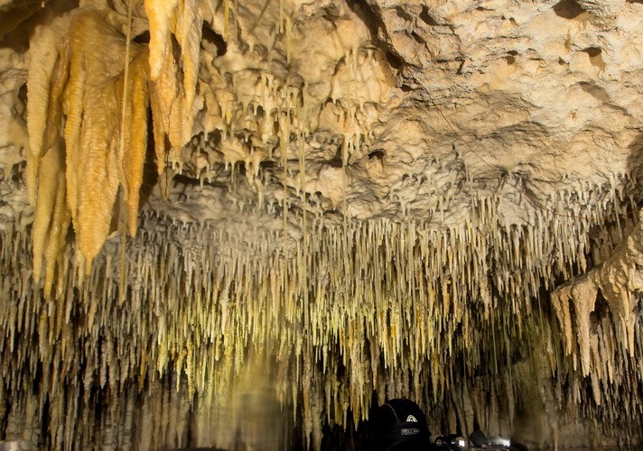 Mexiko Cenote Dreamgate die schönsten Cenoten Riviera Maya