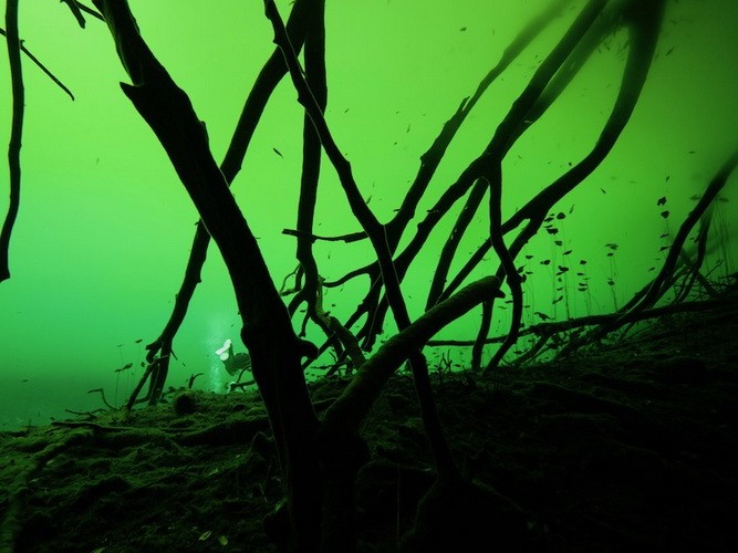 Die schönsten Cenoten in Mexico: Angelita Cenote Riviera Maya