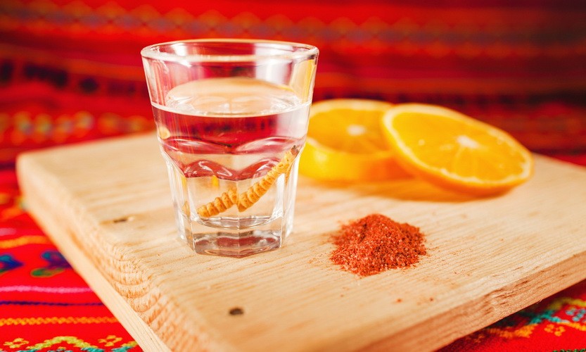 Tequila with worm: Best Tequila from Mexico