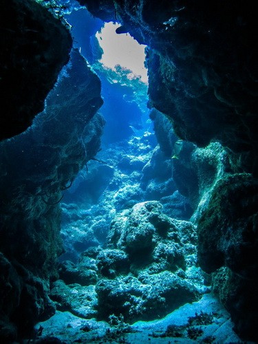 Cozumel Riff-Formationen