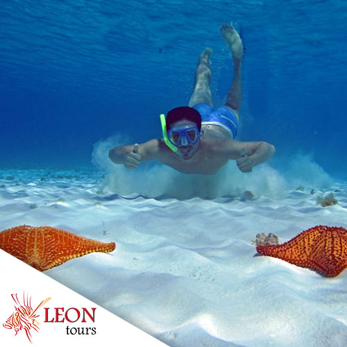 Cozumel Riffe: Schnorcheln