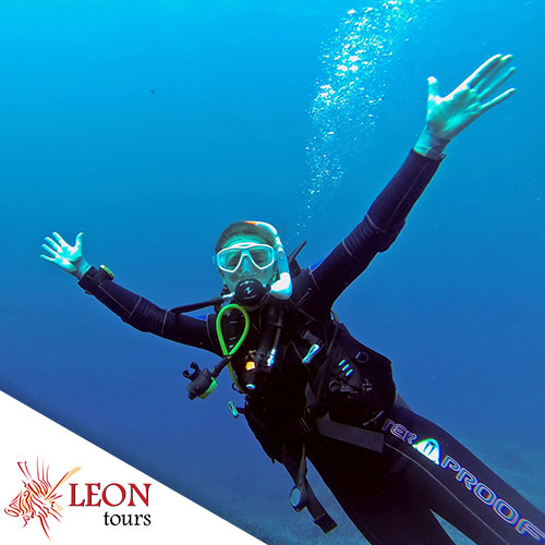 Cozumel Riffe: Tauchen